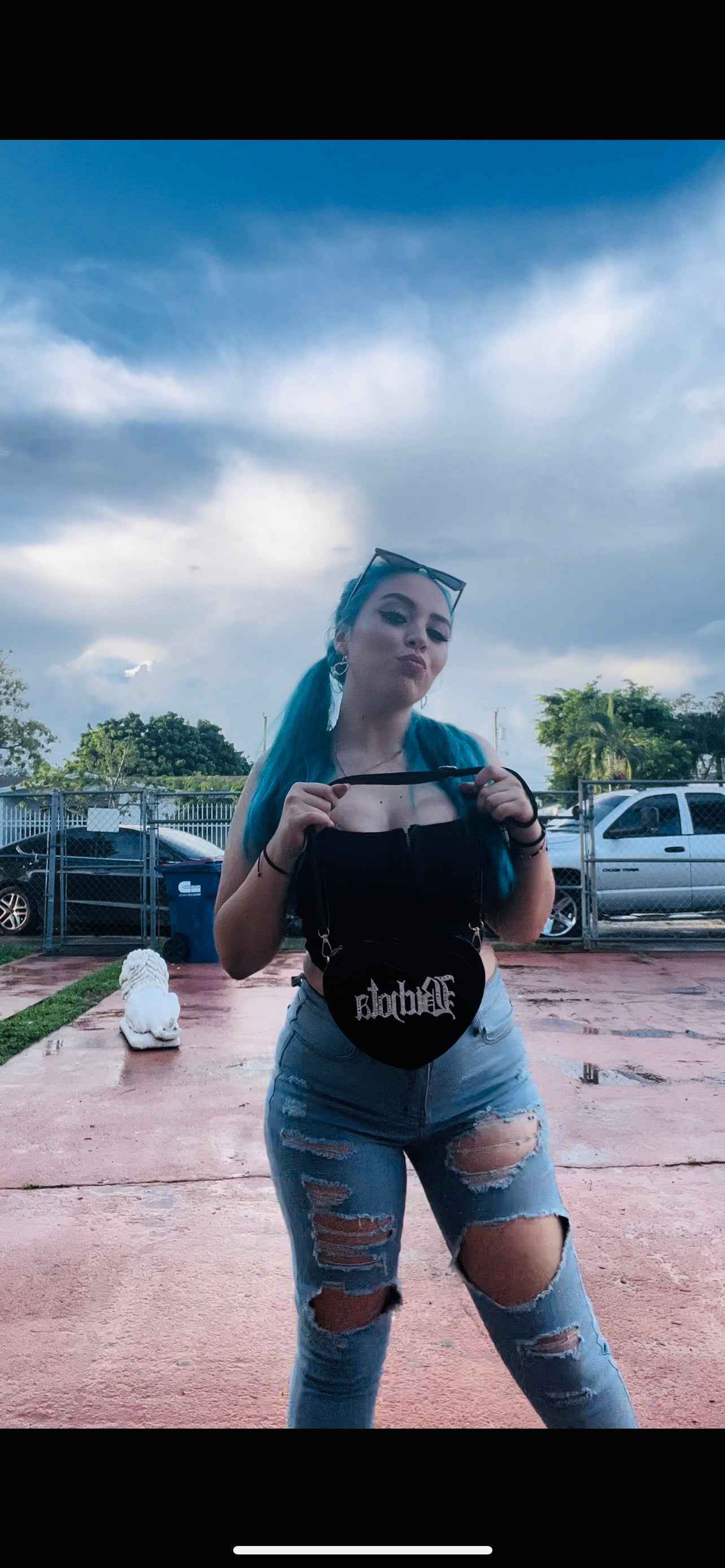 Bichota Heart Purse